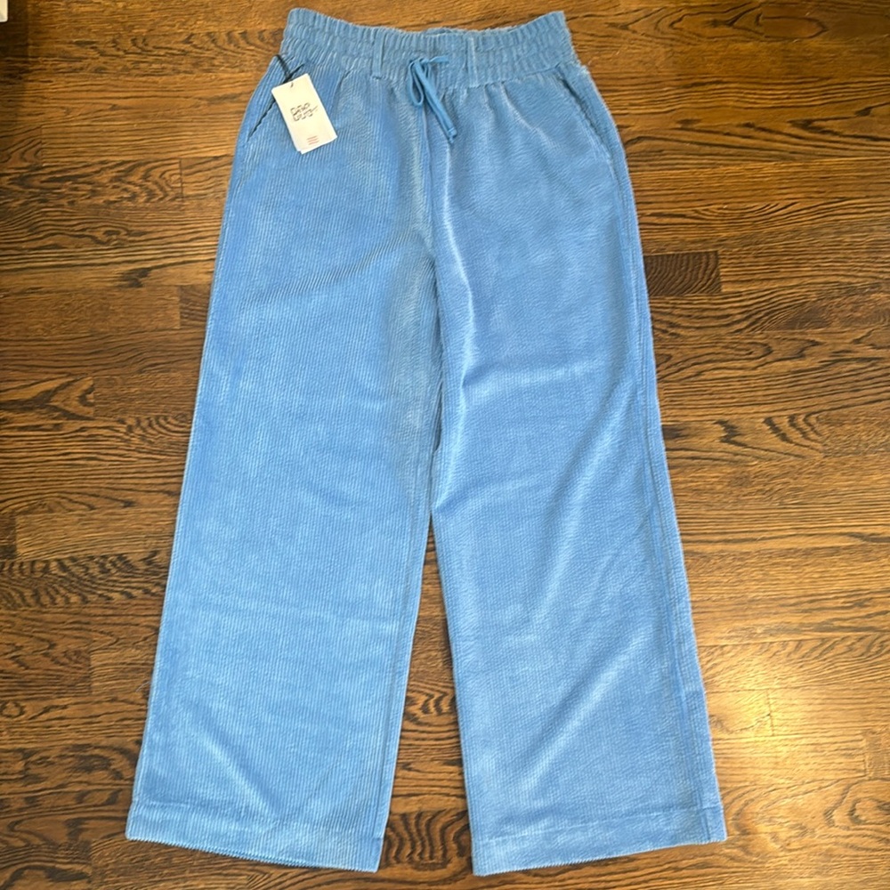 Urban Outfitters BDG Blue Corduroy Wide Leg Pants